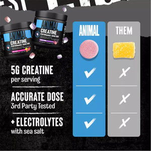 Animal Creatine Chews, Universal Nutrition, 120 tablete masticabile | Creatina