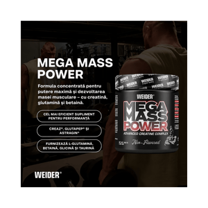 Mega Mass POWER, Weider, 300g | Complex creatina anhidra